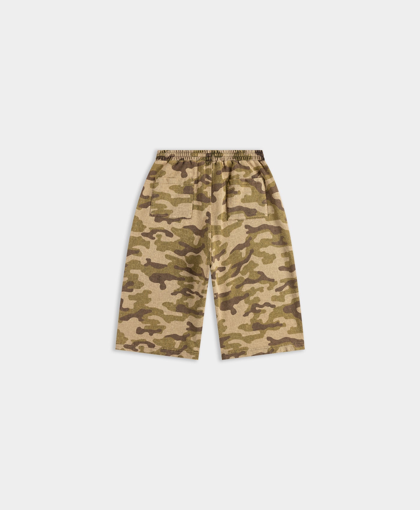 DP - Croc Camo Shorts - Packshot - rear