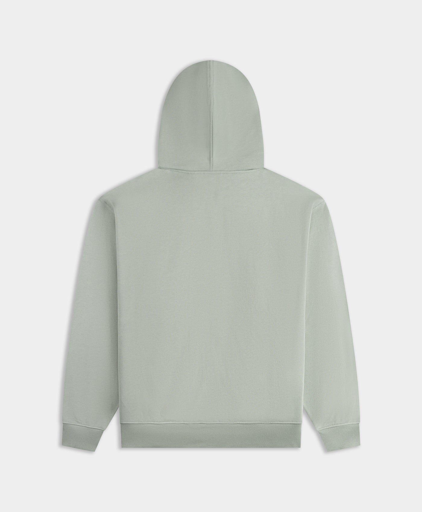 DP - Iceberg Green Orbit Emb Zip Hoodie - Packshot - rear