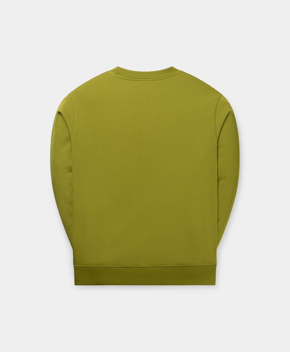 DP - Cardamom Green Orbit Sweater - Packshot - rear