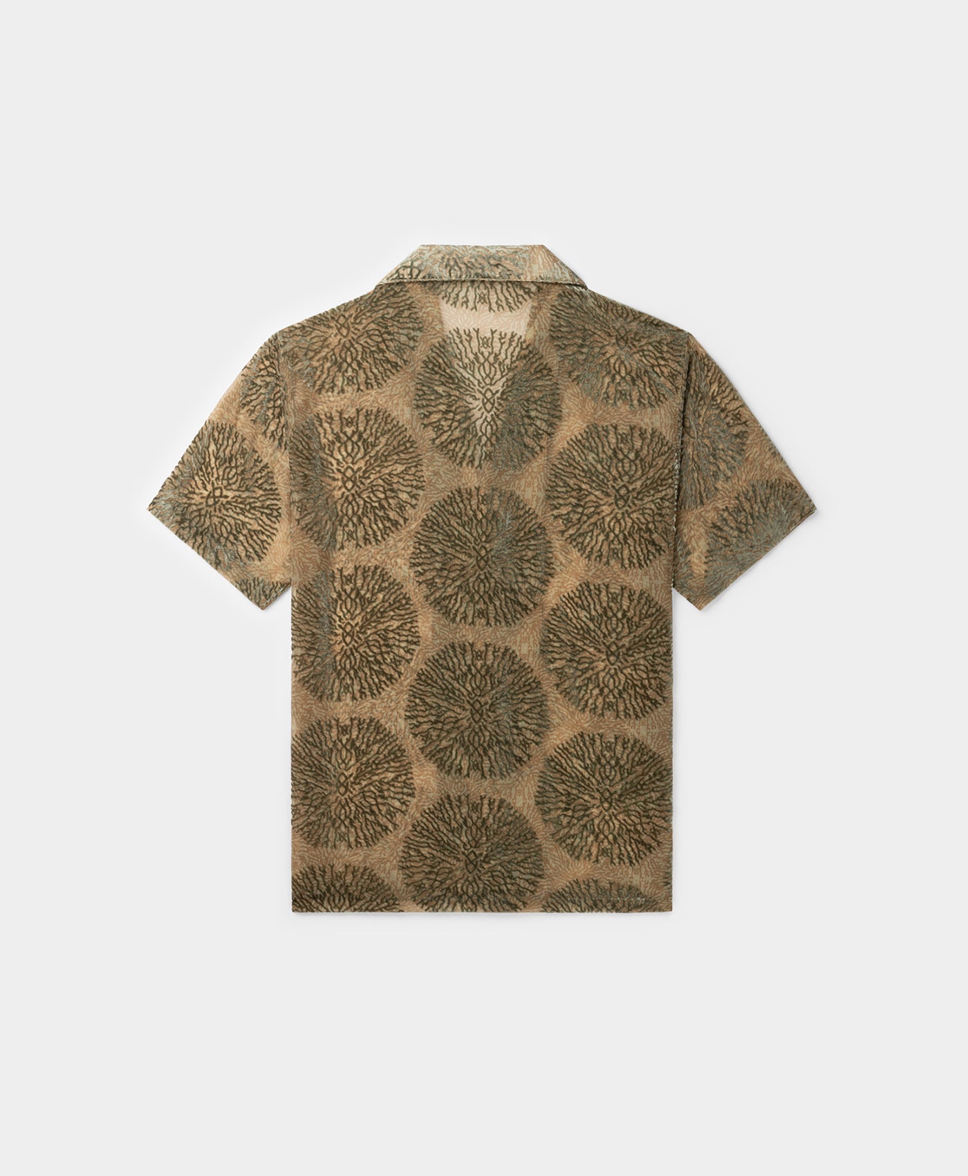DP - Green Sand Pascal Shirt - Packshot - Rear
