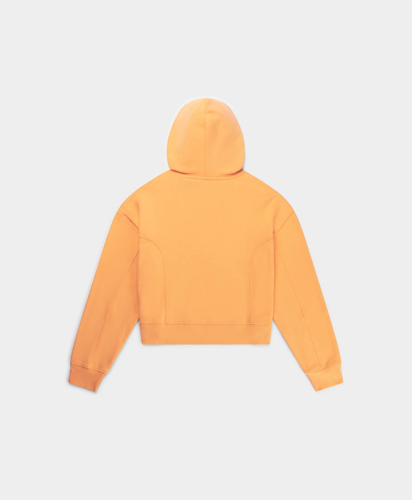 DP - Tangerine Orange Rada Hoodie - Packshot - Rear