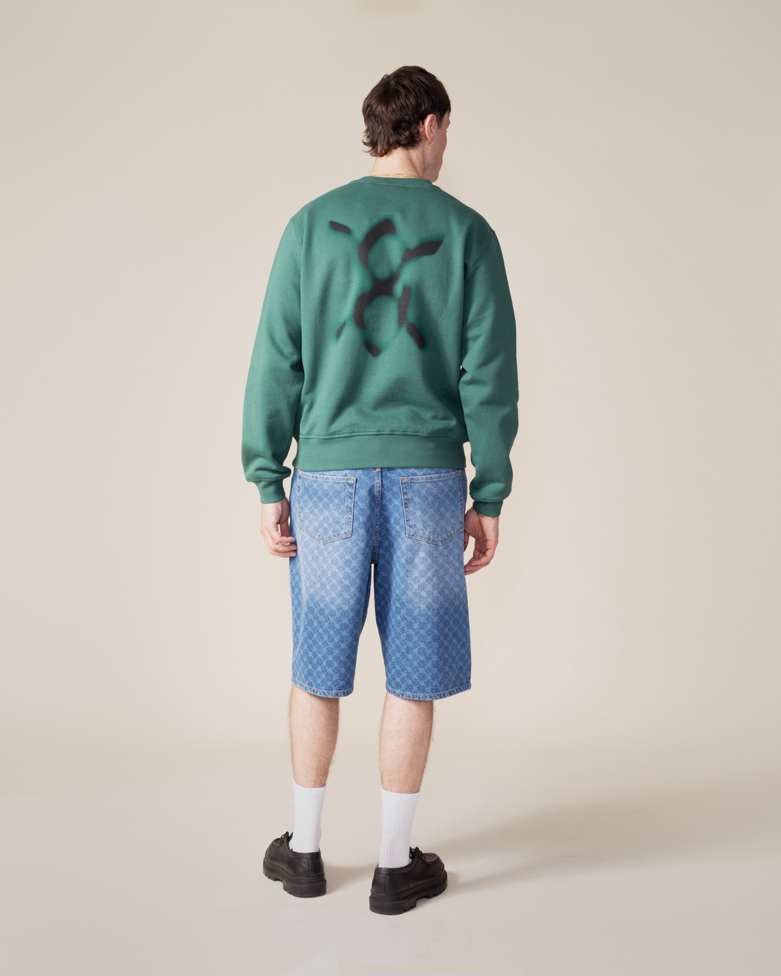 DP - Bistro Green Shield Focus Sweater - Men - Rear