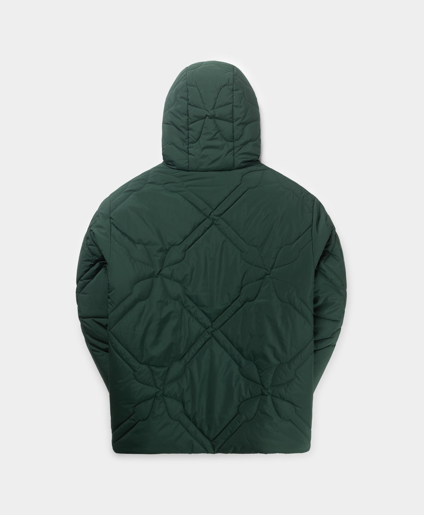 DP - Pine Green Spear Padded Jacket - Packshot - Rear