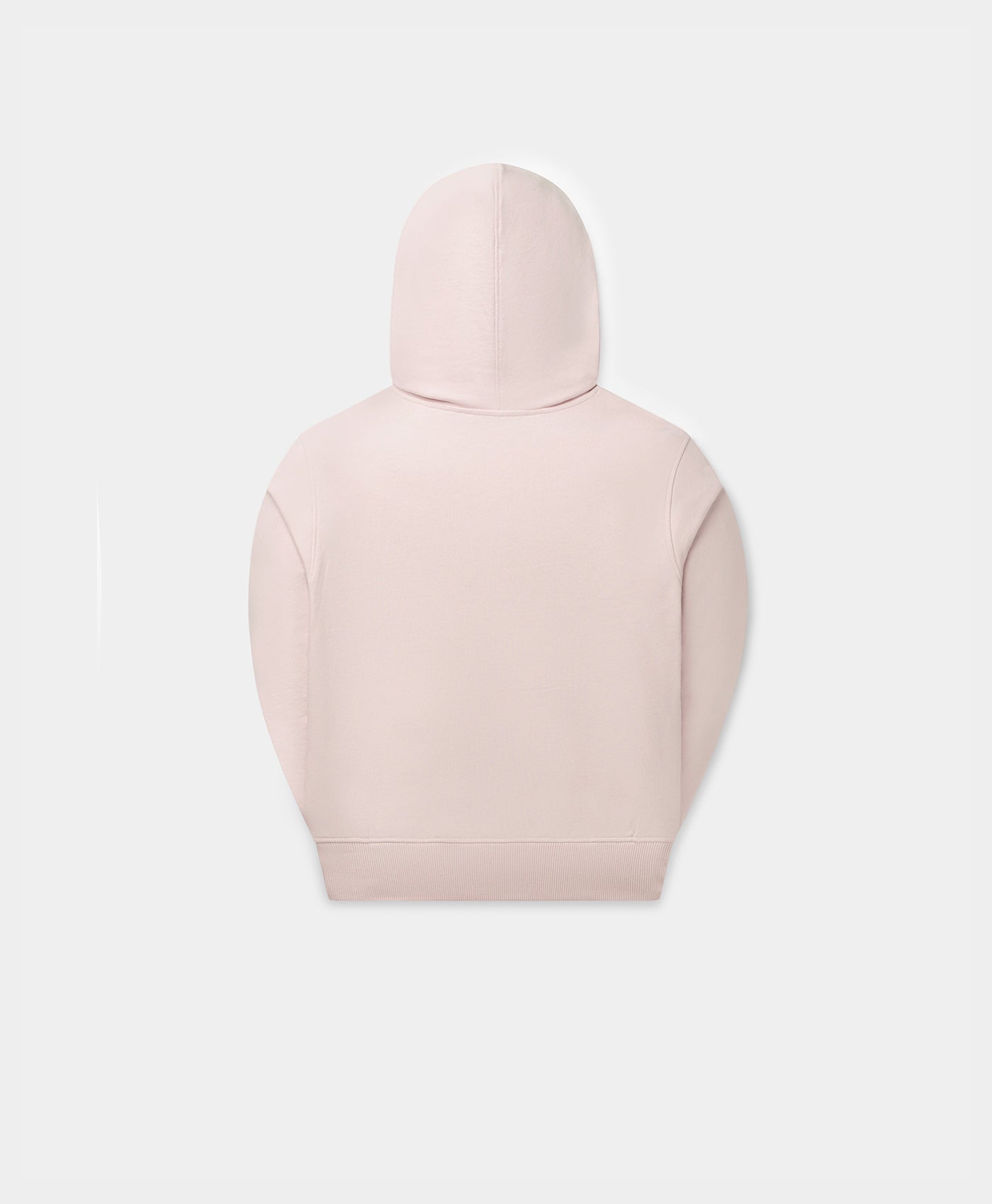 DP - Ice Pink Logotype Hoodie - Packshot - Rear